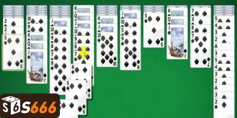 Khám phá xếp bài nhện